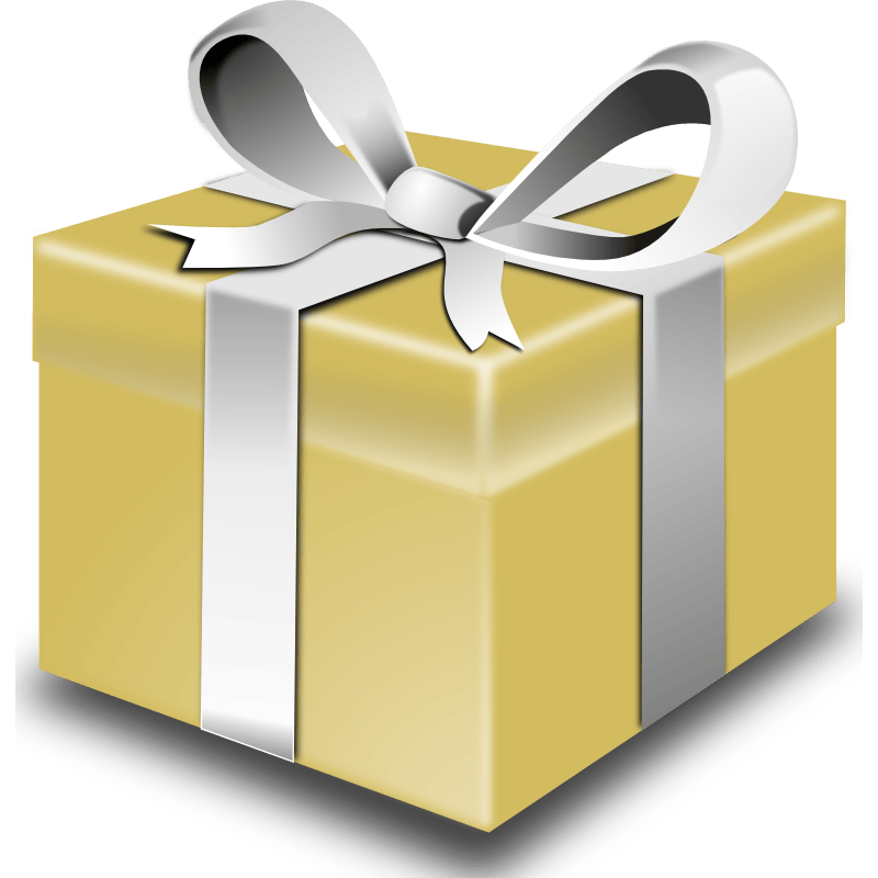 The Surprise Company